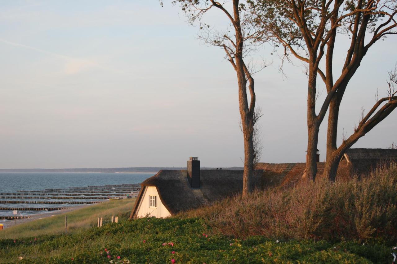 Dat Dardel Hus Born Dış mekan fotoğraf